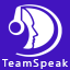 TeamSpeak Server