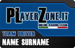 PLZ Driver Card
